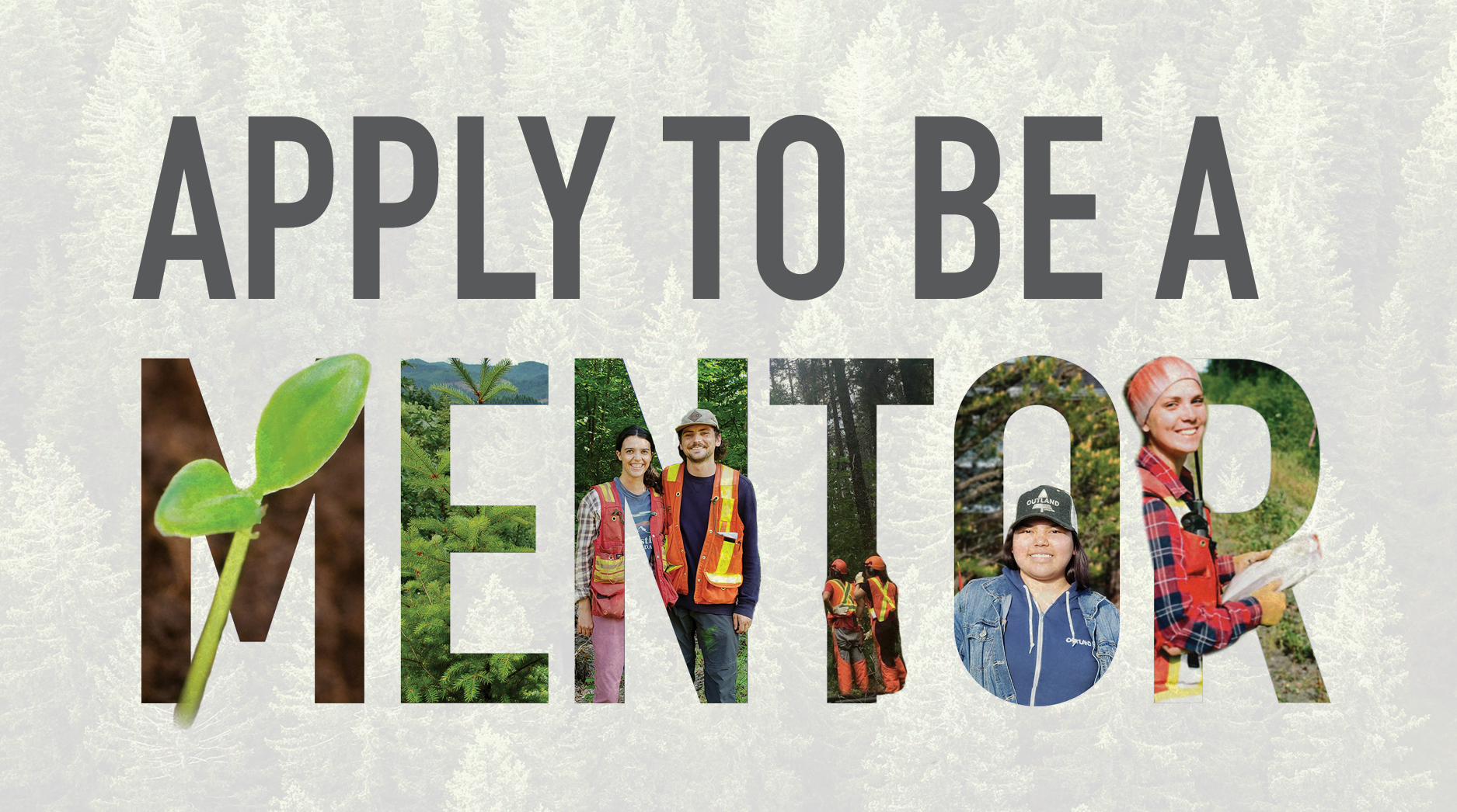 Apply to be a Mentor