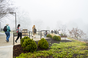 L’Université Clemson obtient la toute première certification SFI en matière de durabilité des forêts urbaines et communautaires