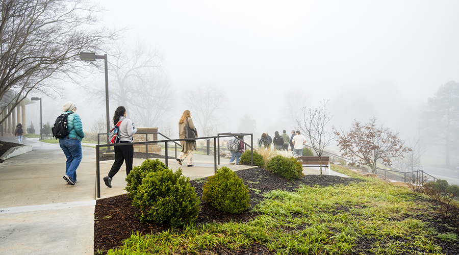 Clemson University Achieves First-Ever SFI Urban and Community Forest Sustainability Certification