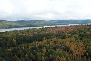 Climate Smart Forestry