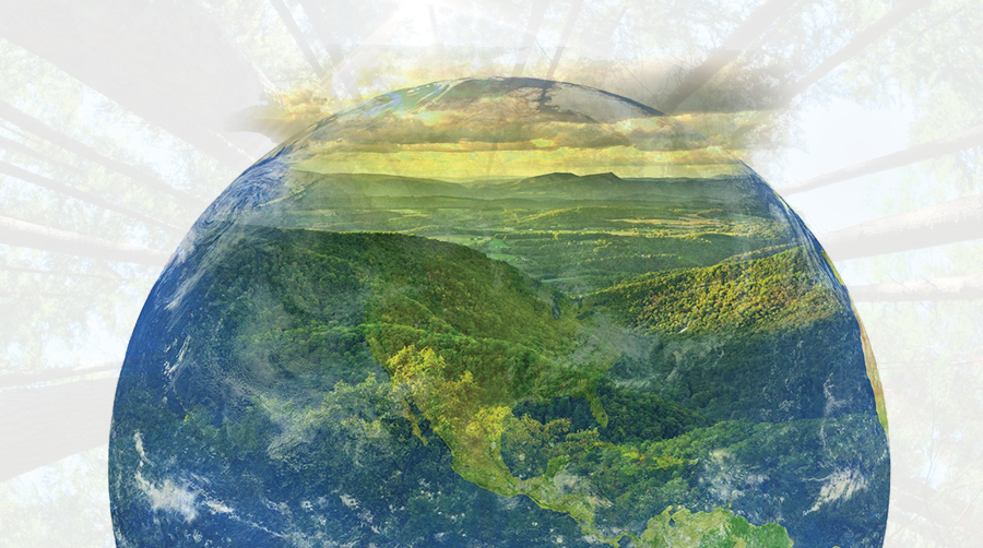 Climate Smart Forestry