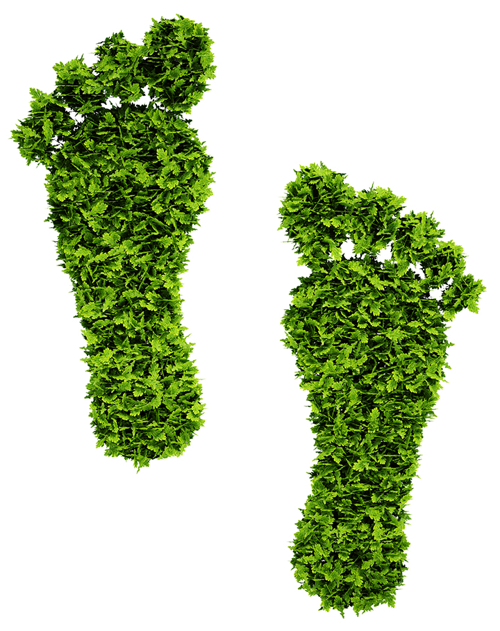 Ecological footprint symbol