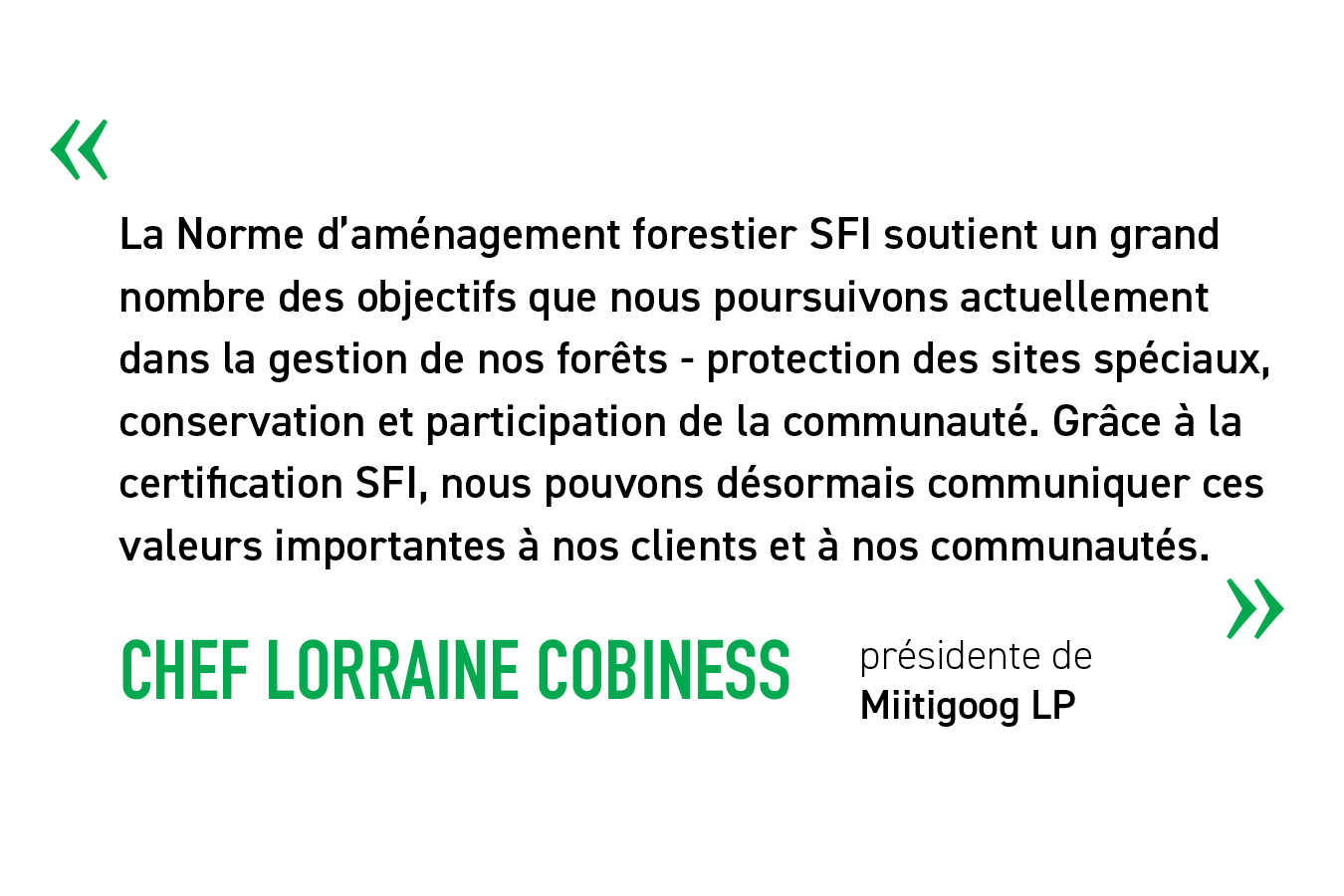 Indigenous_Rights_quote_Cobiness_FR