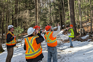 Des sentiers forestiers aux rues de la ville : comment la normalisation dynamise la durabilité urbaine