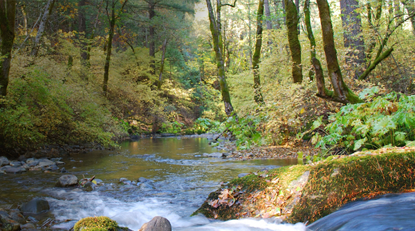 SIC Annual Reporting Image