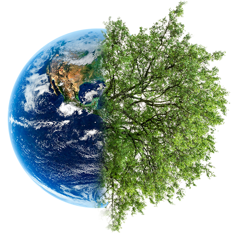 SFI 2022 Fiber Sourcing Standard With Supplemental Requirements to Support EUDR Compliance Module