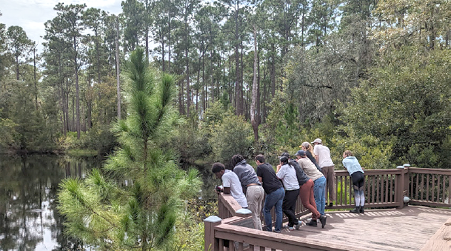 SFI Community Grant Spotlight: Architecture Students Connect with Forests to Understand Carbon