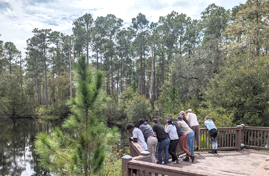 Into_the_Woods_pic1_edited