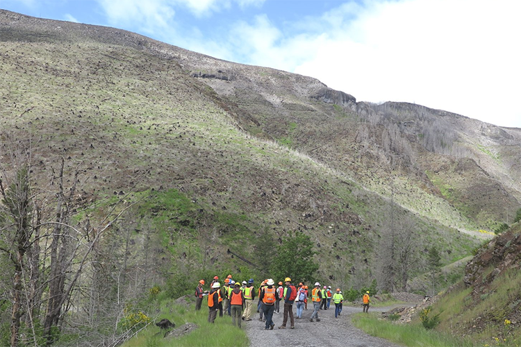 Out_of_ashes_pic_2_web