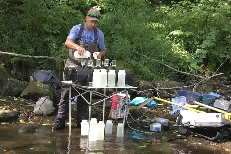 Out_of_ashes_pic_3_web