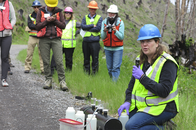 Out_of_ashes_pic_4_web