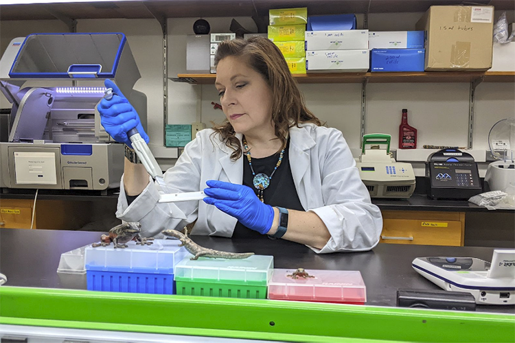 Out_of_ashes_pic_5_web