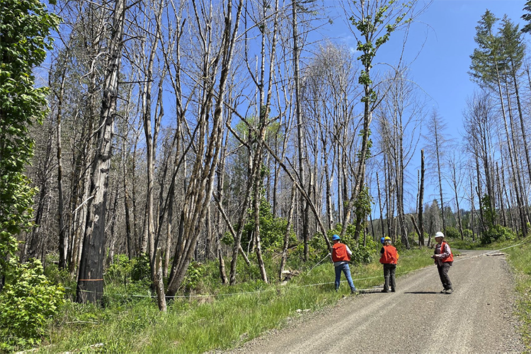 Out_of_ashes_pic_6_web