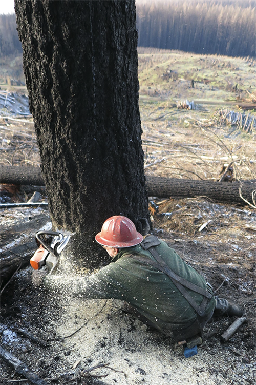 Out_of_ashes_pic_8_web