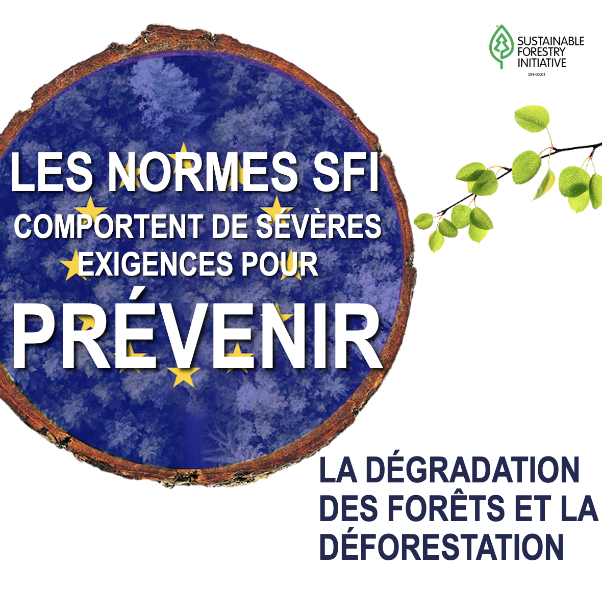 SFI_Toolkit_Graphic_EUDR_French