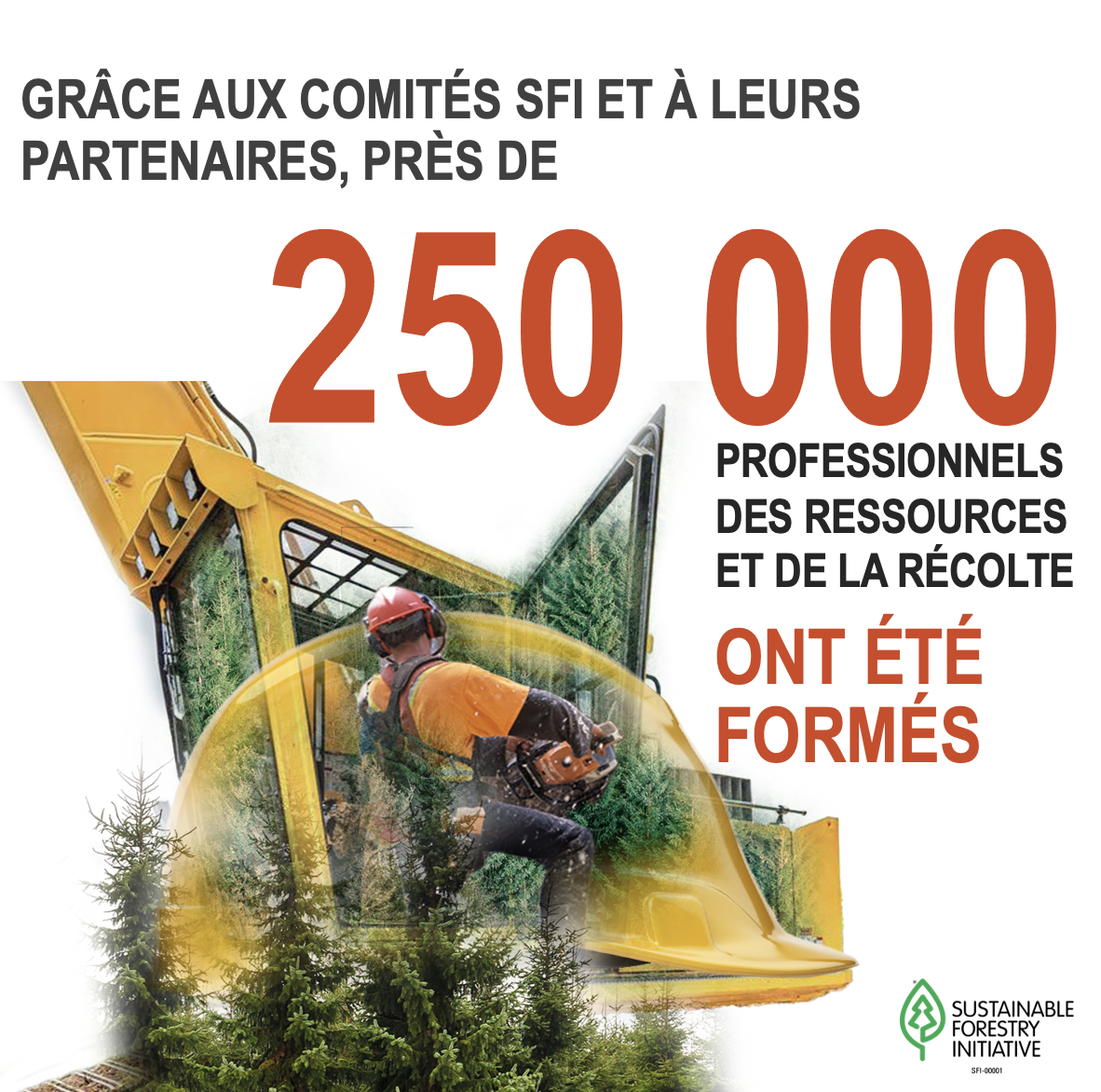 SFI_Toolkit_Graphic_Loggers_Trained_French