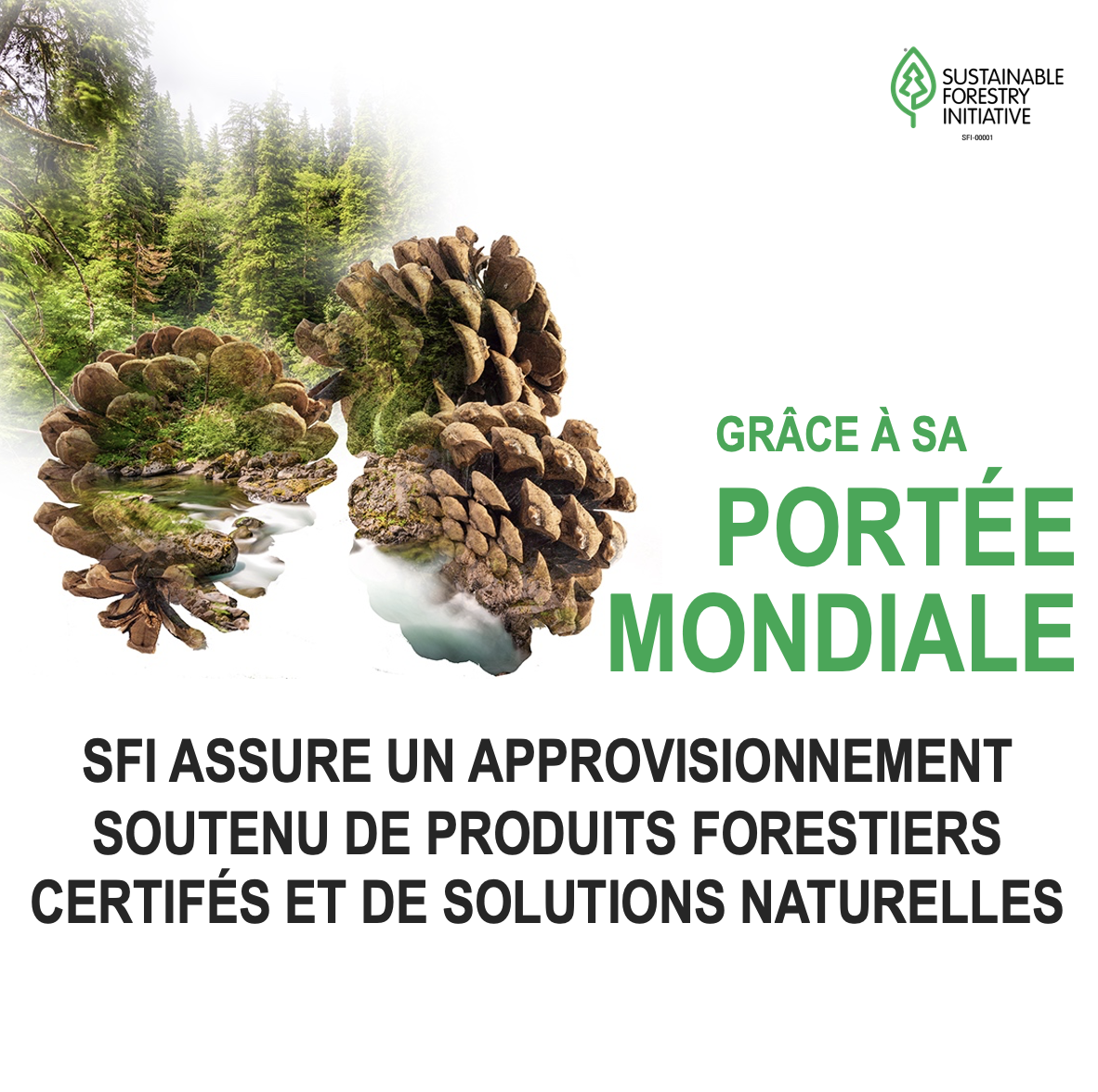 SFI_Toolkit_Graphic_SFIs_Scale_French