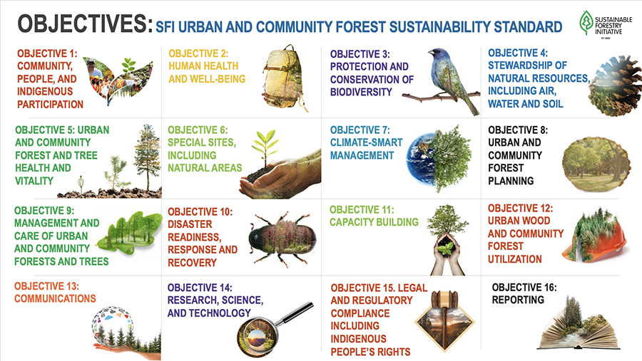 SFI_UCFS_Objectives_July2024_web